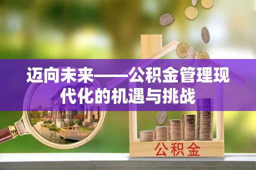 若羌迈向未来——公积金管理现代化的机遇与挑战