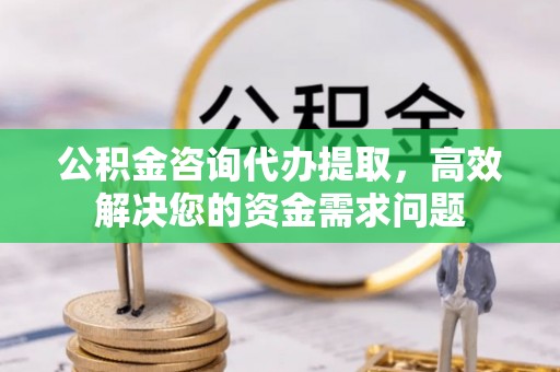若羌公积金咨询代办提取，高效解决您的资金需求问题