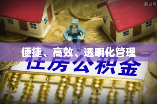 若羌便捷、高效、透明化管理