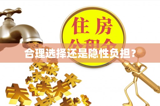 若羌合理选择还是隐性负担？
