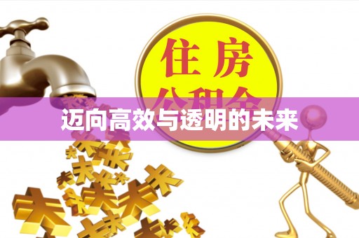 若羌迈向高效与透明的未来