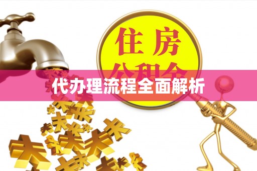 若羌代办理流程全面解析