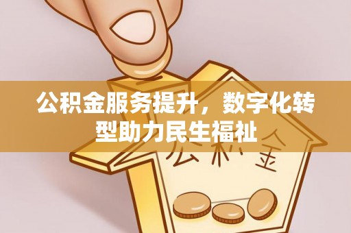 若羌公积金服务提升，数字化转型助力民生福祉