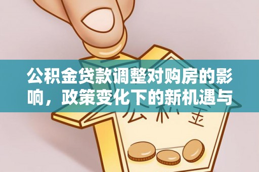 若羌公积金贷款调整对购房的影响，政策变化下的新机遇与挑战