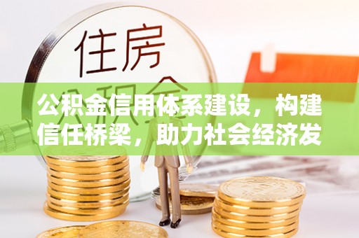 若羌公积金信用体系建设，构建信任桥梁，助力社会经济发展
