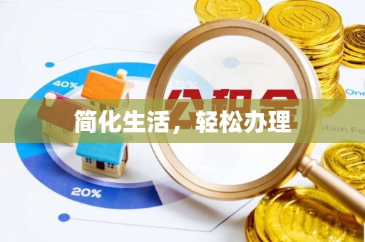 若羌简化生活，轻松办理