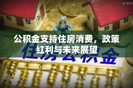 若羌公积金支持住房消费，政策红利与未来展望