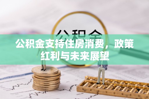 若羌公积金支持住房消费，政策红利与未来展望