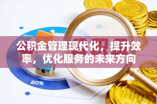 若羌公积金管理现代化，提升效率，优化服务的未来方向