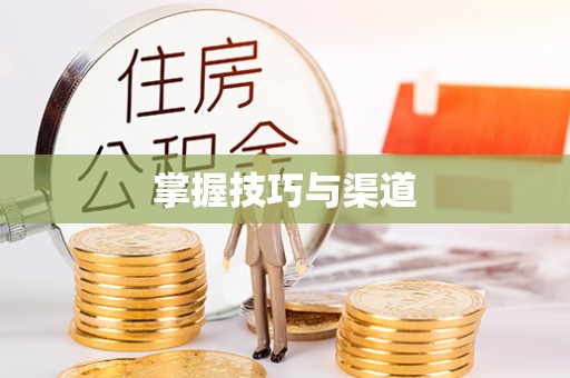 若羌掌握技巧与渠道