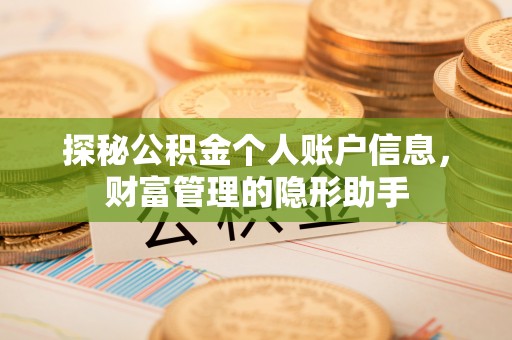 若羌探秘公积金个人账户信息，财富管理的隐形助手