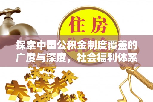 若羌探索中国公积金制度覆盖的广度与深度，社会福利体系的基石