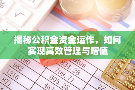 若羌揭秘公积金资金运作，如何实现高效管理与增值