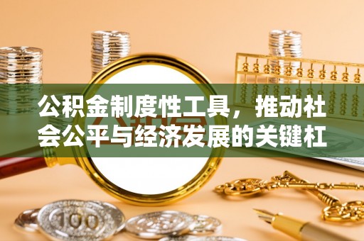 若羌公积金制度性工具，推动社会公平与经济发展的关键杠杆