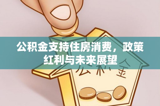 若羌公积金支持住房消费，政策红利与未来展望