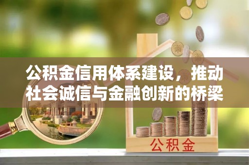 若羌公积金信用体系建设，推动社会诚信与金融创新的桥梁