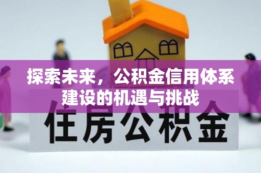 若羌探索未来，公积金信用体系建设的机遇与挑战