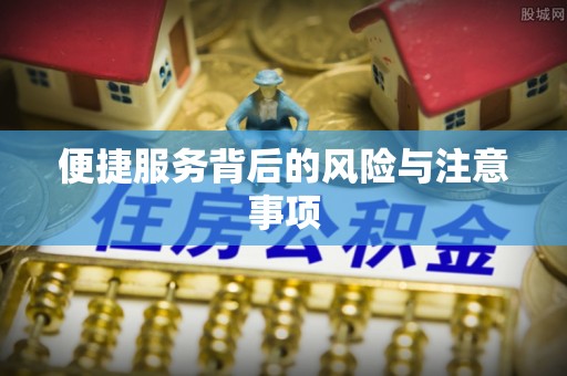 若羌便捷服务背后的风险与注意事项