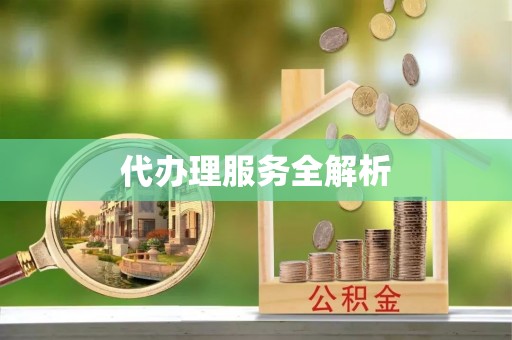 若羌代办理服务全解析