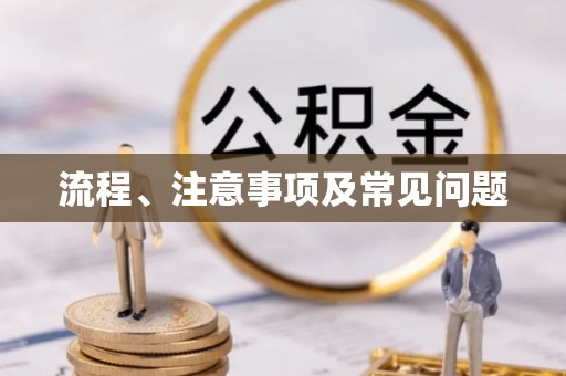 若羌流程、注意事项及常见问题