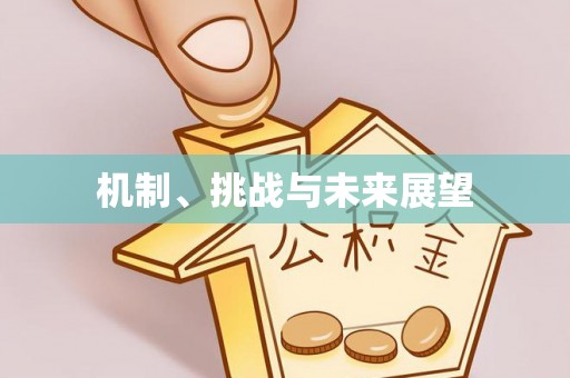 若羌机制、挑战与未来展望