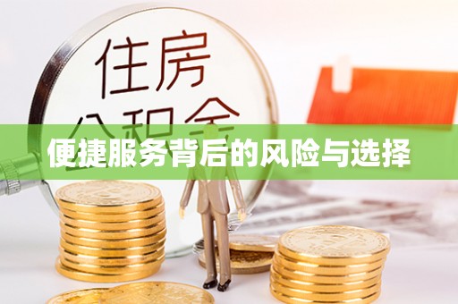 若羌便捷服务背后的风险与选择