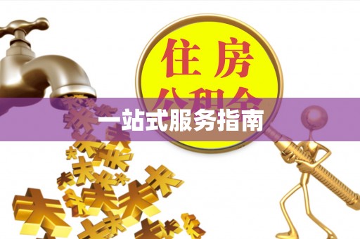 若羌一站式服务指南