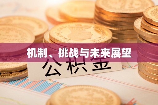 若羌机制、挑战与未来展望