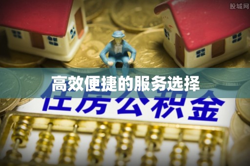 若羌高效便捷的服务选择