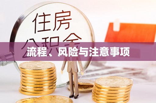 若羌流程、风险与注意事项