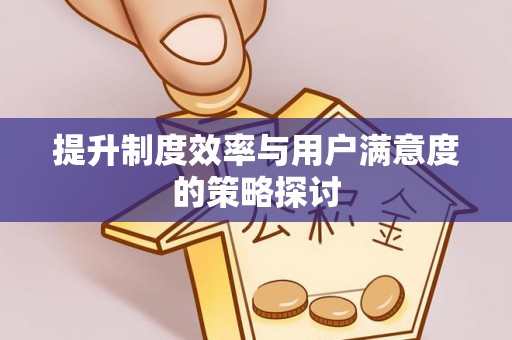 若羌提升制度效率与用户满意度的策略探讨