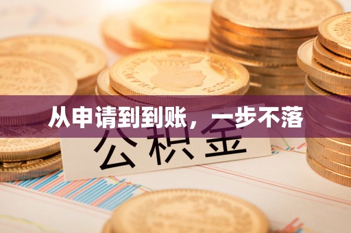 若羌从申请到到账，一步不落