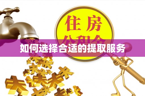 若羌如何选择合适的提取服务