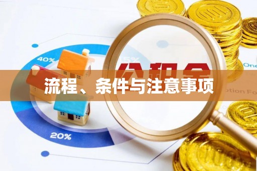 若羌流程、条件与注意事项