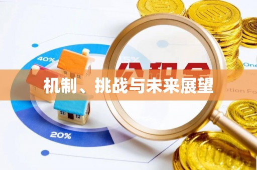 若羌机制、挑战与未来展望